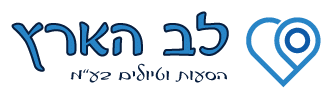 השכרת רכבים לעסקים